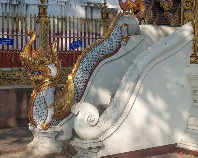 Wat Thatkam Phra Wihan Makara (Sea Dragon) (DTHCM0709)