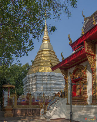Wat Thatkam Phra Chedi (DTHCM0710)