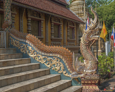 Wat Sri Boon Reung Phra Wihan Naga (DTHCM0780)