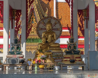 Wat Bukkhalo Central Roof-top Pavilion Buddha Images (DTHB1812)