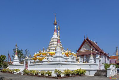 Wat Songtham Phra Chedi (DTHSP0142)