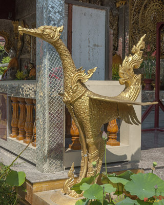 Wat Songtham Wyvern (DTHSP0154)