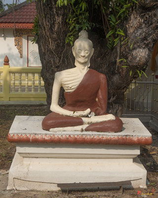 Wat Wang Phai Image of Ascetic Buddha (DTHCP0040)