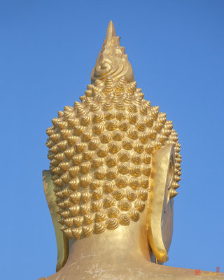 Wat Phra Yai Sukothai Walai-Cholatharn Buddhas Hair (DTHCB0011)