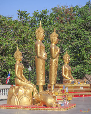 Wat Phra Yai Buddha Images (DTHCB0012)