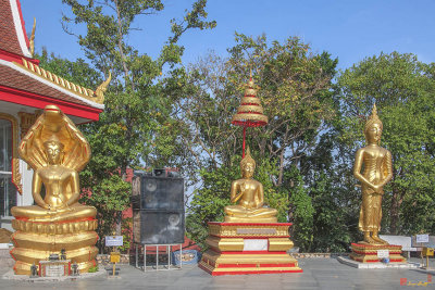Wat Phra Yai Buddha Images (DTHCB0016)