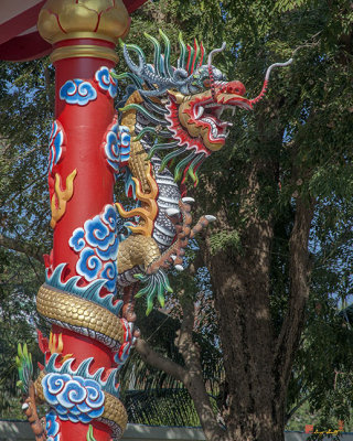 Wang Sam Sien Lao Tzu Shrine Dragon Pillar (DTHCB0034)