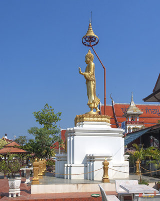 Wat Nong Yai Buddha Shrine (DTHCB0228)