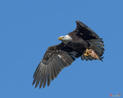g9/99/758199/3/162804900.KUt8e56r.jpg