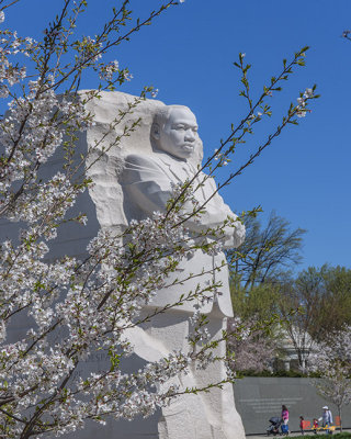 Dr. Martin Luther King, Jr. Memorial at Cherry Blossom Time (DS0072)