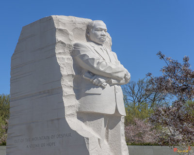 Dr. Martin Luther King, Jr. Memorial at Cherry Blossom Time (DS0073)