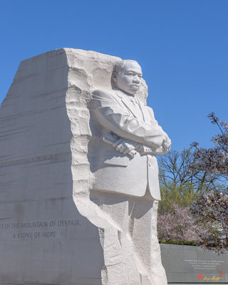 Dr. Martin Luther King, Jr. Memorial at Cherry Blossom Time (DS0074)