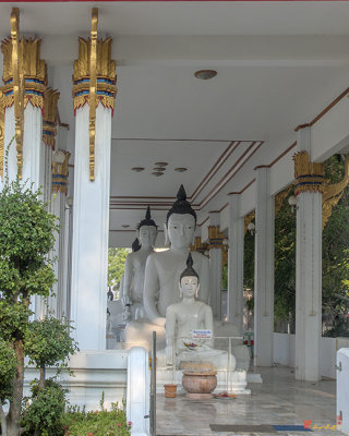 Wat Nakon Sawan Phra Wihan Buddha Images (DTHNS0014)