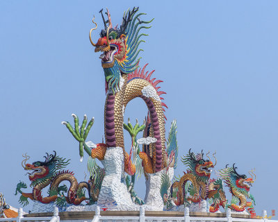 Suan Sawan Golden Dancing Dragon (DTHNS0144)