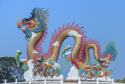 Suan Sawan Golden Dancing Dragon (DTHNS0147)