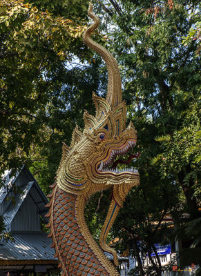 Wat Ku Tao Phra Wihan Naga (DTHCM0874)