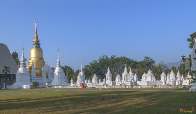 Wat Suan Dok Reliquaries of Northern Thai Royalty (DTHCM0944)