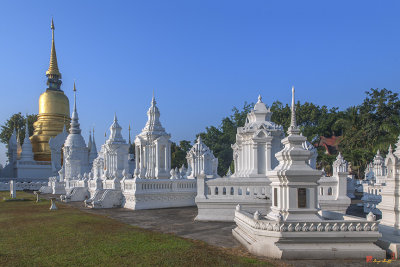 Wat Suan Dok or Wat Buppharam