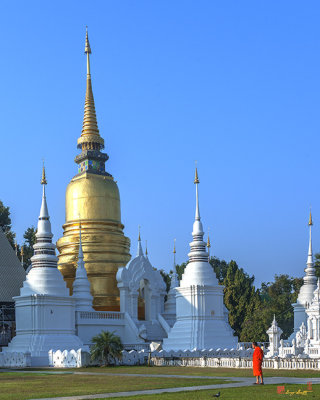 Wat Suan Dok Buddha Relics Chedi (DTHCM0949)