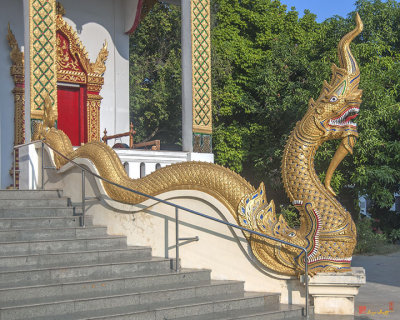 Wat Santiwan Phra Wihan Naga (DTHCM0985)