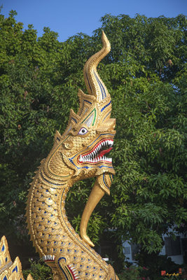 Wat Santiwan Phra Wihan Naga (DTHCM0986)
