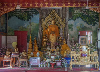 Wat Phra That Hariphunchai  Buddha Images within Wihan of the Travelling Buddha (DTHLU0022)