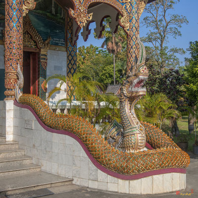 Wat Chamthewi Wihan Luang Naga (DTHLU0061)