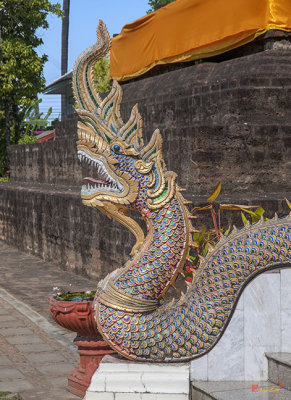 Wat Chamthewi Wihan Luang Naga (DTHLU0066)