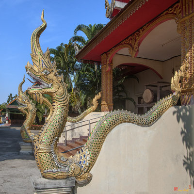 Wat Si Chum Naga (DTHLU0126)