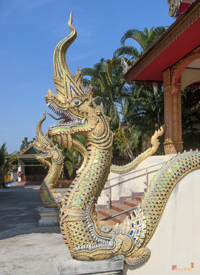 Wat Si Chum Naga (DTHLU0127)