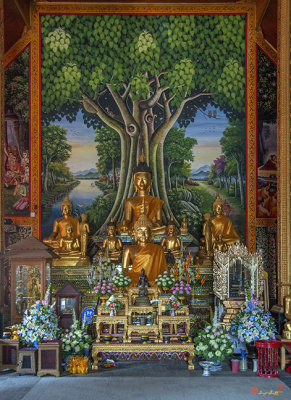 Wat Rong Sao Wihan Luang Buddha Images (DTHLU0156)