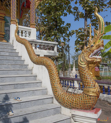 Wat Rong Sao Phra Ubosot Naga (DTHLU0168)