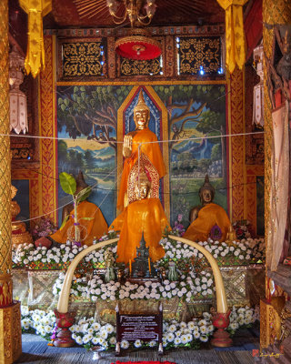 Wat Doi Ti Wihan Luang Buddha Images (DTHLU0180)