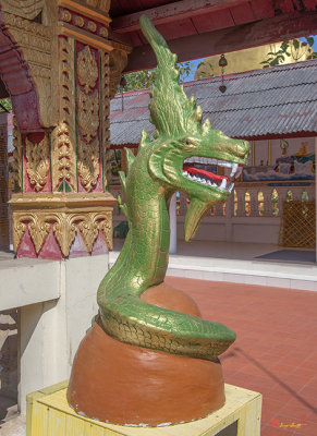 Wat Doi Ti Wihan Luang Naga (DTHLU0181)