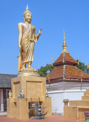 Wat Doi Ti Buddha Image (DTHLU0184)