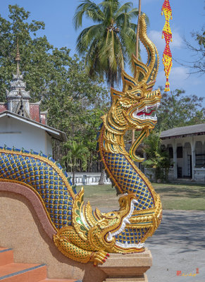 Wat Mae San Pa Daet Wihan Luang Naga (DTHLU0215)
