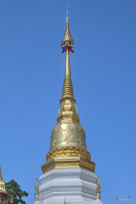 Wat Mae San Pa Daet Phra That Chedi Pinnacle (DTHLU0220)