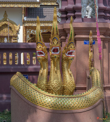 Wat Mae San Pa Daet Multi-headed Gate Naga (DTHLU0222)