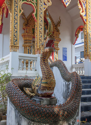 Wat Suphan Rangsi Wihan Luang Naga (DTHLU0235)