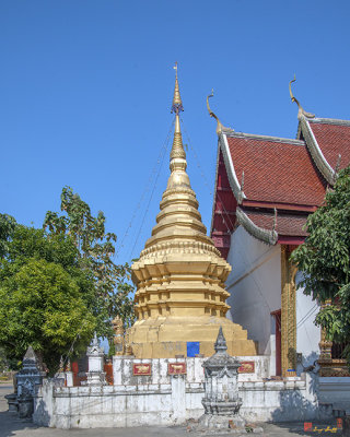 Wat Chang Si Phra That Chedi (DTHLU0261)
