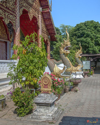 Wat Hua Khua Phra Ubosot Naga and Boundary Stone (DTHLU0308)