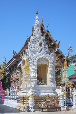 Wat Sun Pa Yang Luang Buddha Shrine (DTHLU0319)