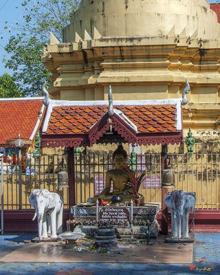 Wat Nong Seng Phra Chedi Buddha Shrine (DTHLU0334)