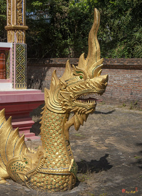 Wat Nong Seng Phra Ubosot Naga (DTHLU0339)
