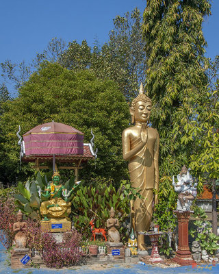 Wat Nong Seng Image Garden (DTHLU043)