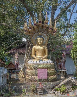 Wat Nong Seng Buddha Image under Bodhi Tree (DTHLU0344)