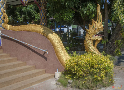 Wat Suan Dok Wihan Luang Naga (DTHLU0351)