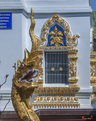 Wat Suan Dok Ho Tham (Holy Scripture Library) Naga and Window (DTHLU0356)