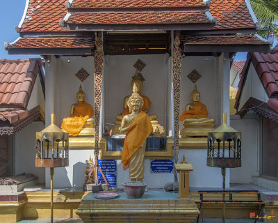 Wat Suan Dok Buddha Shrine (DTHLU0360)