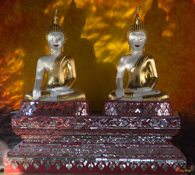 Wat Kantharam Buddha Images (DTHCM1028)